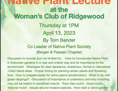 Native Plant Lecture